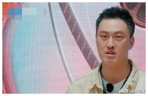 娱乐圈吃瓜侠,揭秘“吃瓜侠”背后的故事